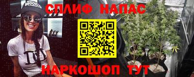 mdma Новозыбков