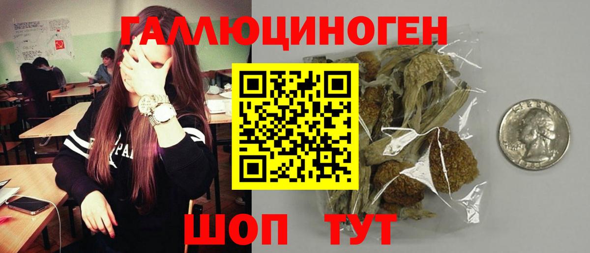 Псилоцибиновые грибы мицелий Туймазы