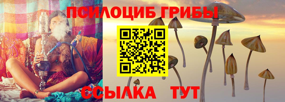 Туймазы  Псилоцибиновые грибы Cubensis  Вход с VPN 